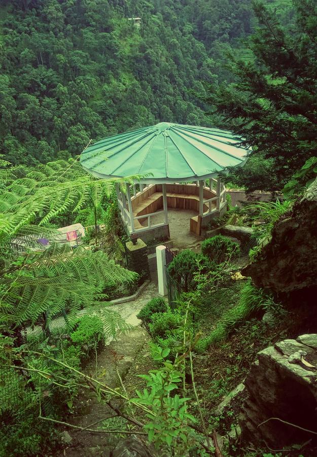 Enchanted Forest Farmstay Gangtok Ngoại thất bức ảnh