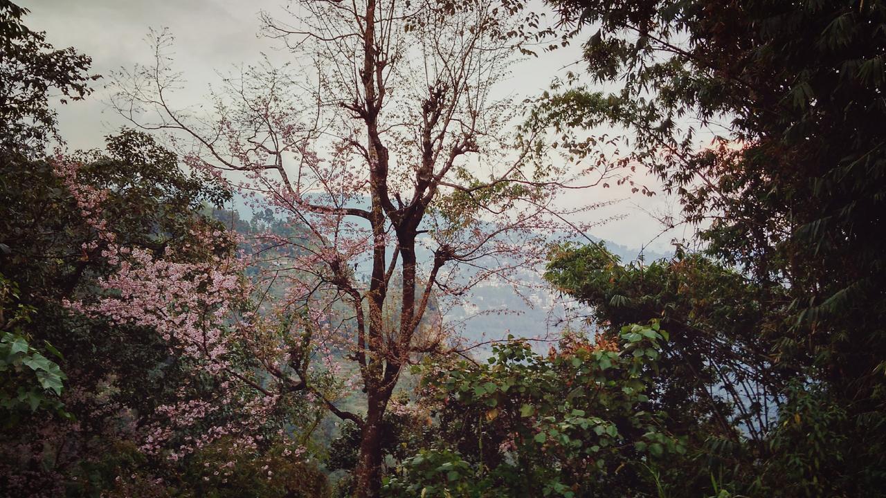 Enchanted Forest Farmstay Gangtok Ngoại thất bức ảnh