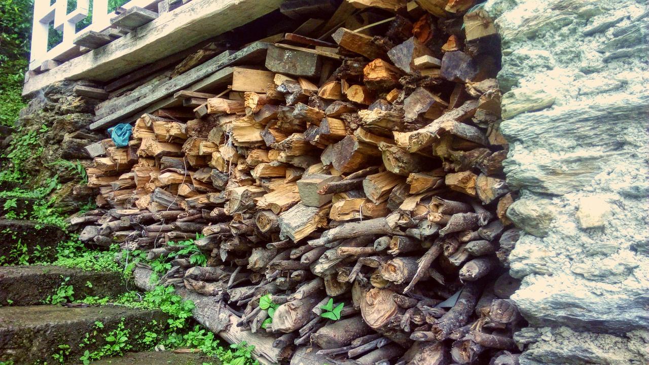 Enchanted Forest Farmstay Gangtok Ngoại thất bức ảnh