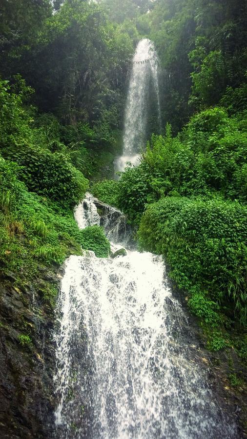 Enchanted Forest Farmstay Gangtok Ngoại thất bức ảnh