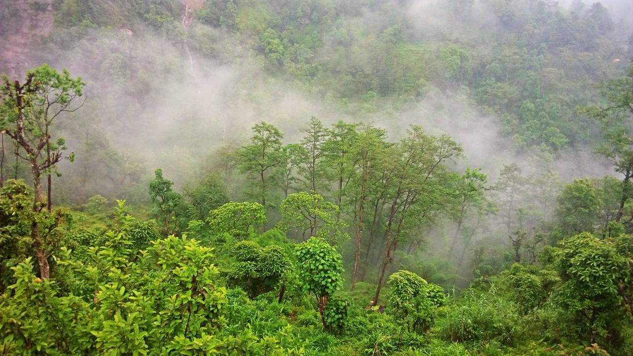 Enchanted Forest Farmstay Gangtok Ngoại thất bức ảnh