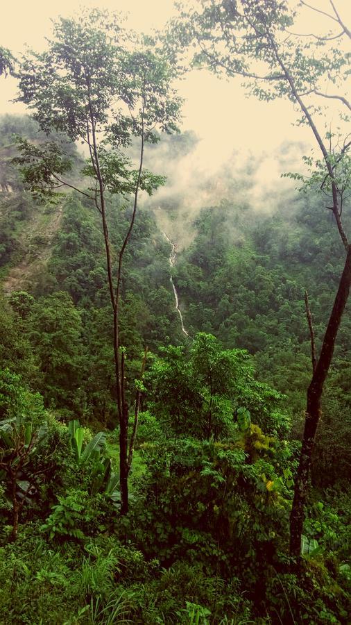 Enchanted Forest Farmstay Gangtok Ngoại thất bức ảnh