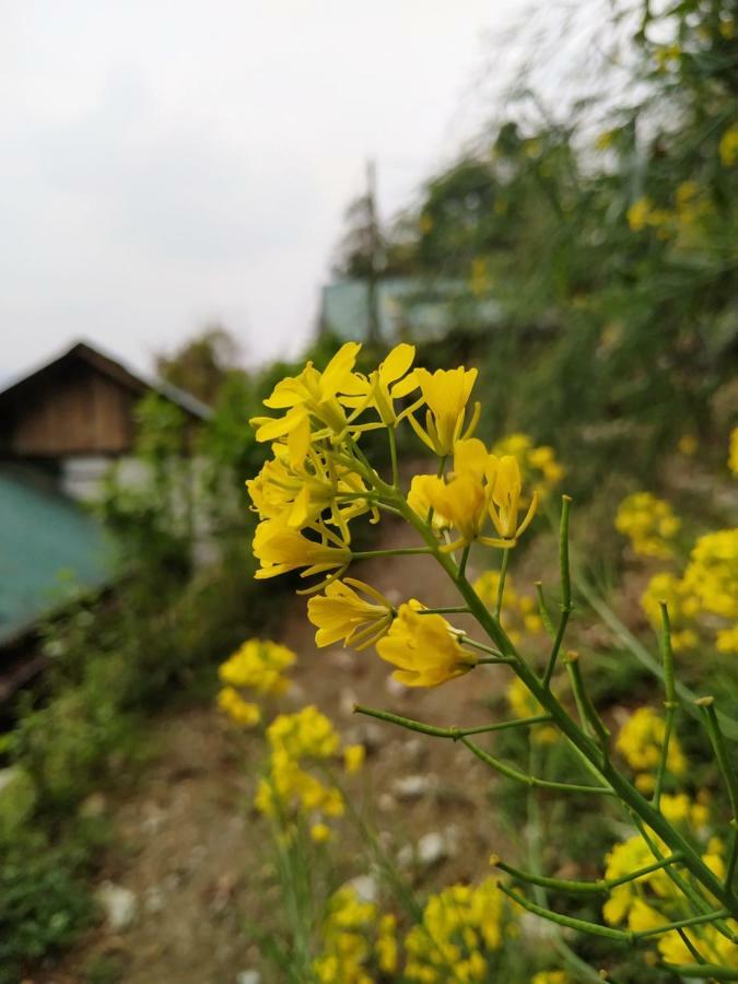 Enchanted Forest Farmstay Gangtok Ngoại thất bức ảnh