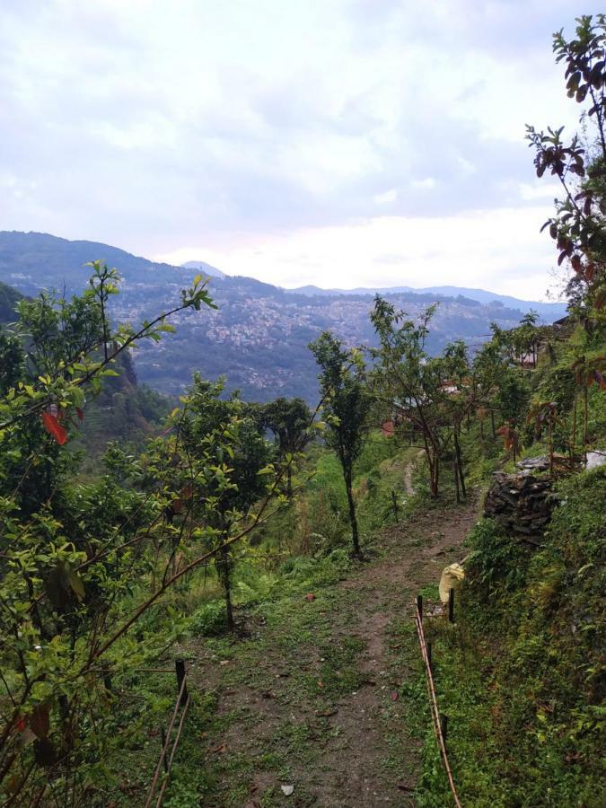 Enchanted Forest Farmstay Gangtok Ngoại thất bức ảnh