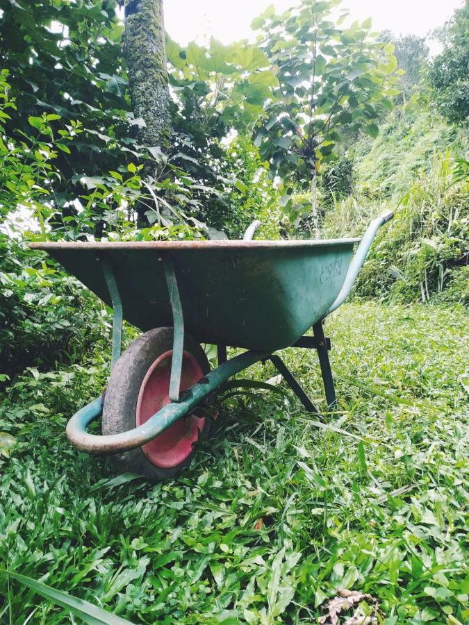 Enchanted Forest Farmstay Gangtok Ngoại thất bức ảnh