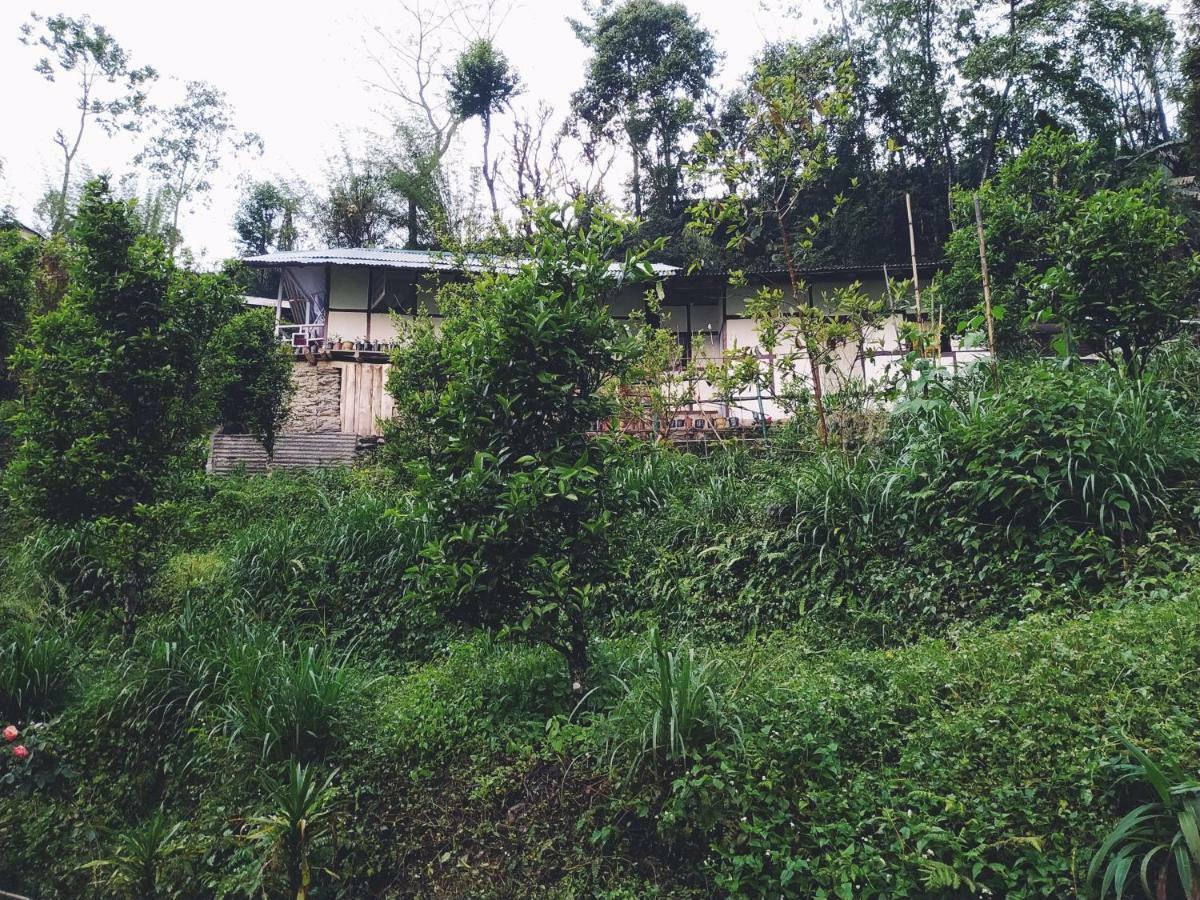 Enchanted Forest Farmstay Gangtok Ngoại thất bức ảnh